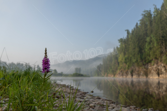 Утро на реке Инзер