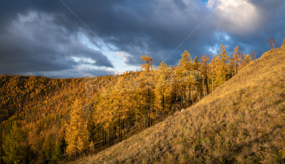 Хребет Крака