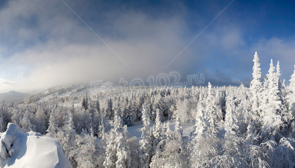 Хребет Кумардак