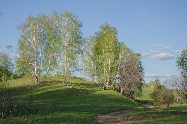 За городом